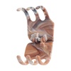 image:imageGoody Classic Claw Hair Clips  6Count Clear Brown and Black  12 Claw Will Gently Keep Hair Secured In Place with a Long Lasting Hold color may vary6 Count Pack of 1